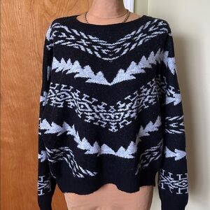 Express sweater size Large